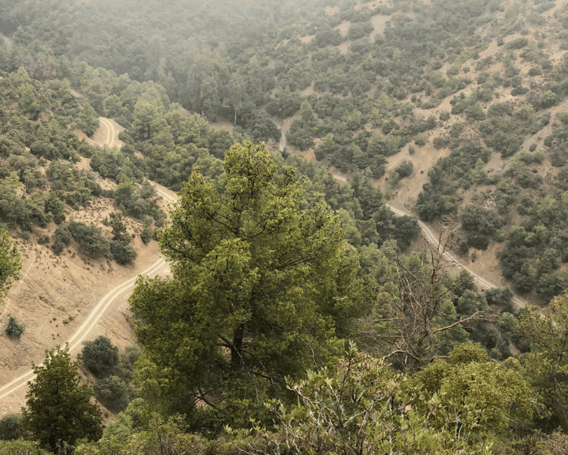 imagem n.6 de De Marrakech: Viagem de bicicleta pelas montanhas do Atlas e vilarejos berberes atividade em Marraquexe-Safim, carregada pelo fornecedor