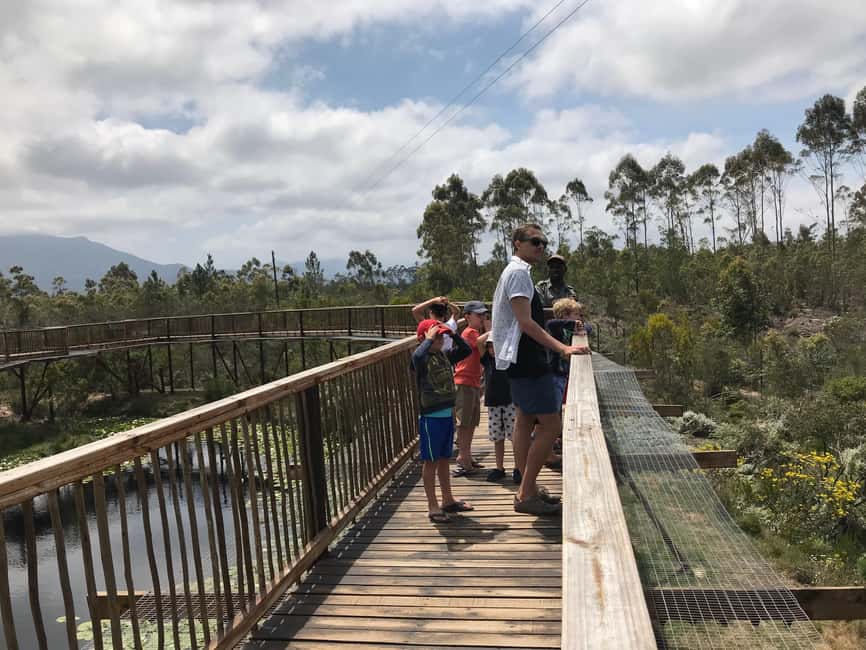 image n.13 of Plettenberg Bay: Wild Cat and Wildlife Guided Tour activity in Plettenberg Bay, uploaded by supplier