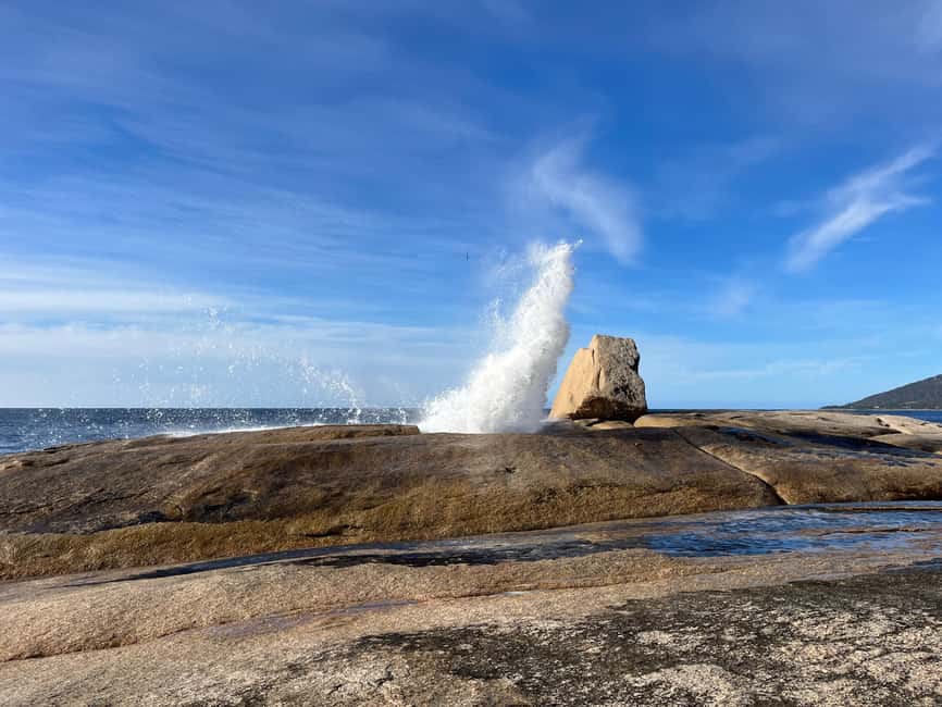 image n.25 of Tasmania: 7-Day West to East Tour activity in Tasmania, uploaded by supplier