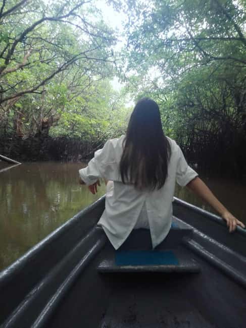 image n.1 of Bintan Tour Mangrove or Fireflies activity in Riau Islands, uploaded by supplier