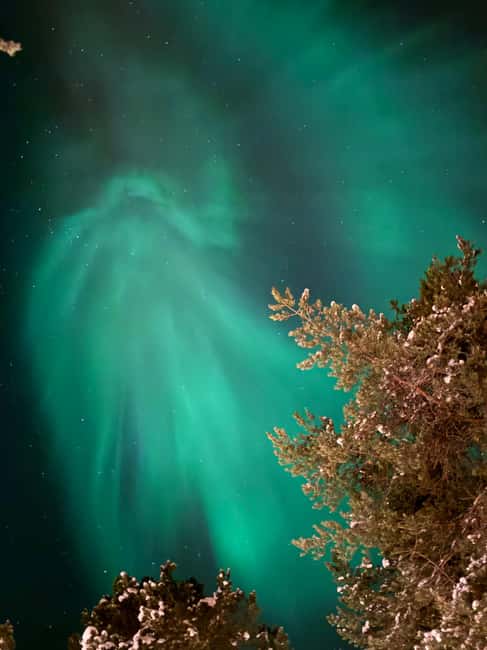 billede nr.29 af aktiviteten Levi: Nordlys-eventyr i naturen, lækkerier ved lejrbålet i Sirkka, uploadet af udbyder