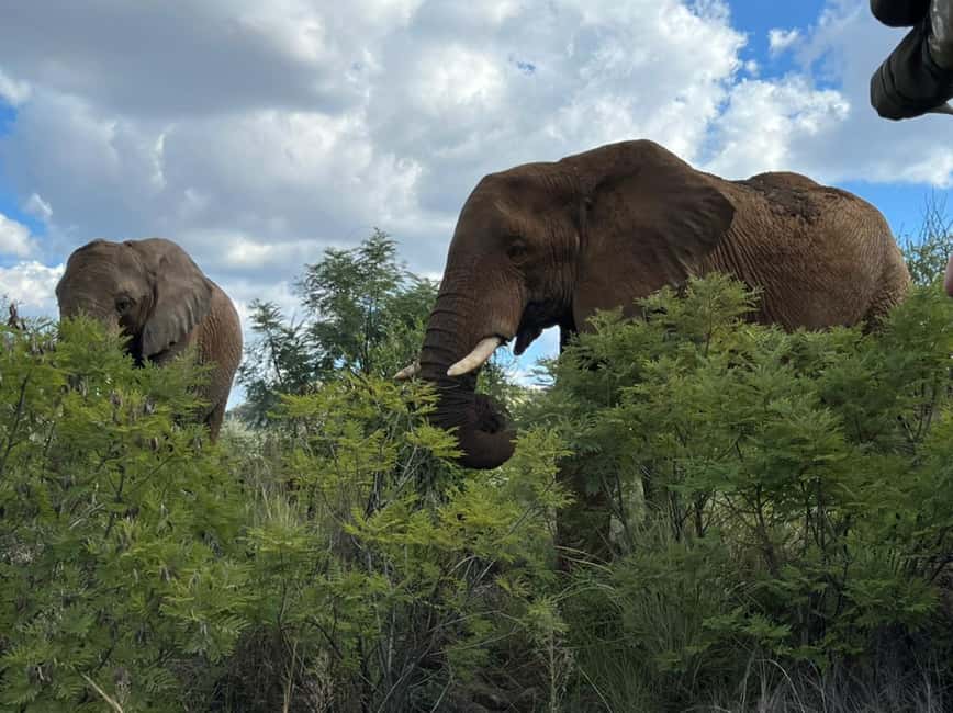 imagem n.1 de Parque Nacional Kruger: Excursão de 4 dias para o melhor safari atividade em Pilgrim's Rest, África do Sul, carregada pelo fornecedor