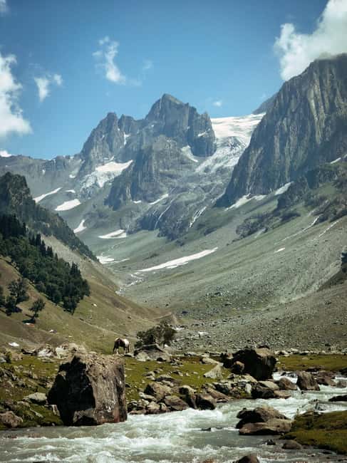 image n.5 of Srinagar: Sonamarg Day Tour - The Golden Meadow Adventure activity in Jammu and Kashmir, uploaded by supplier