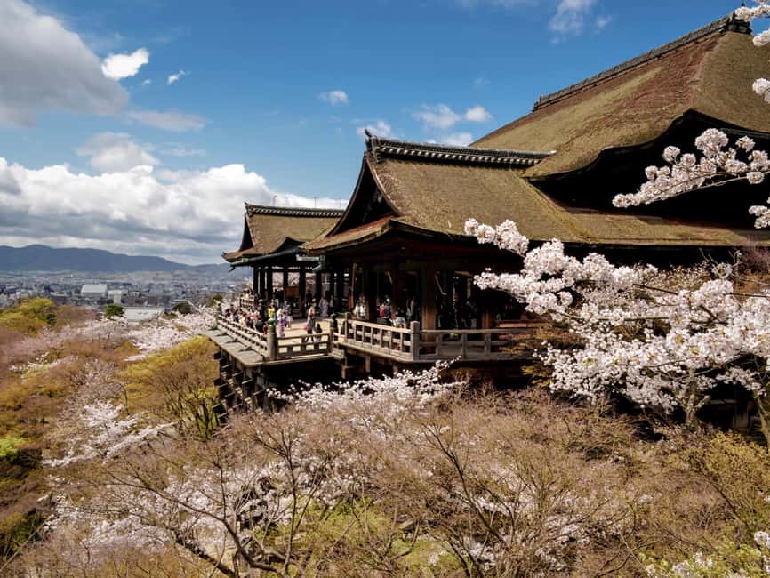 image n.19 of Kyoto/Osaka: Full-Day Guided Tour of Kyoto's Top Highlights activity in Kyoto, uploaded by supplier