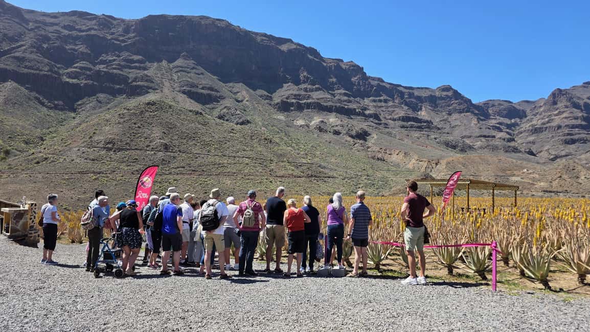 image n.8 of Gran Canaria: Premium Safari 4x4 Tour with Local Guide activity in Canary Islands, uploaded by supplier