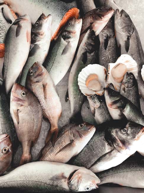 image n.21 of HRG:Private City Tour with Seafood at Barbouni Restaurant activity in Hurghada, uploaded by supplier