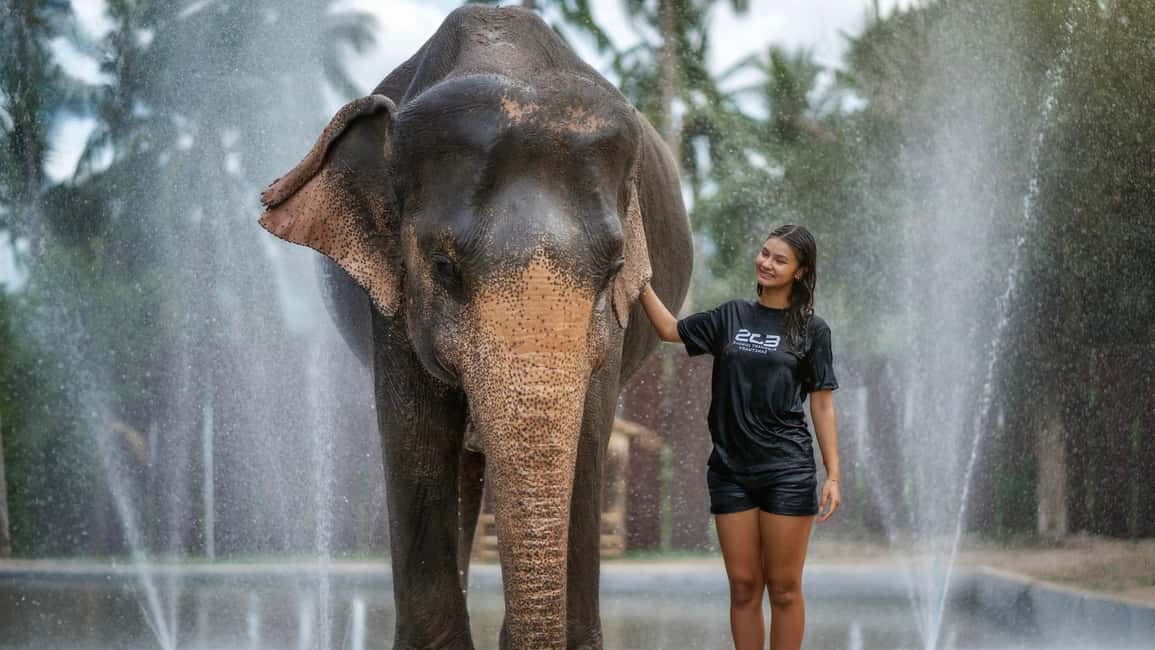 billede nr.2 af aktiviteten Koh Samui: Oplevelse med fodring og badning af elefanter i Thailandbugten, uploadet af udbyder
