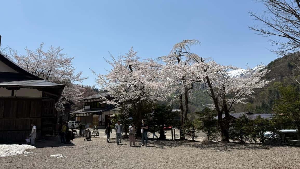 サプライヤーによってアップロードされた、高山の金沢/高山発：白川郷＆高山日帰りツアーの画像#42