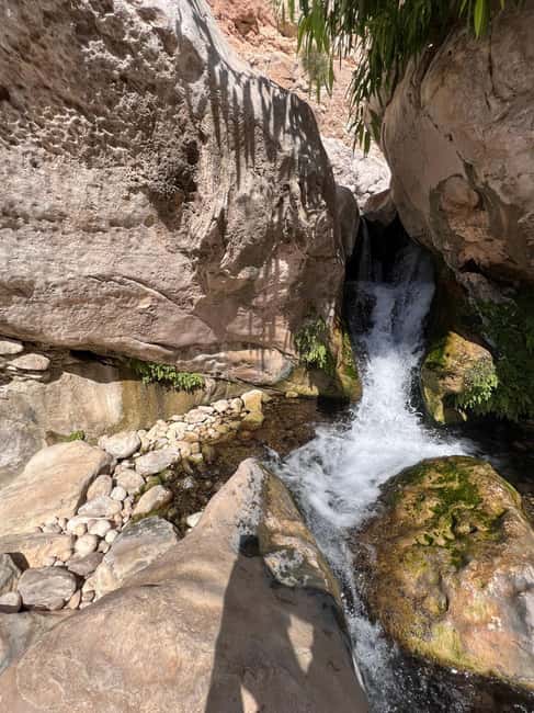 Immagine nº 12 di Muscat: Tramonto nel deserto e Wadi Bnai Khalid Tour di un giorno intero + pranzo attività a Regione al-Sharqiyya, caricata dal fornitore