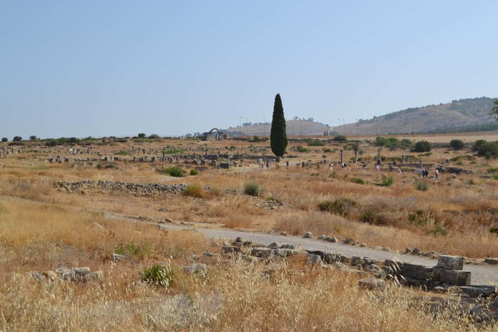 billede nr.117 af aktiviteten Dagstur fra Fes til Volubilis via Meknes og Moulay Idriss i Meknès, uploadet af udbyder