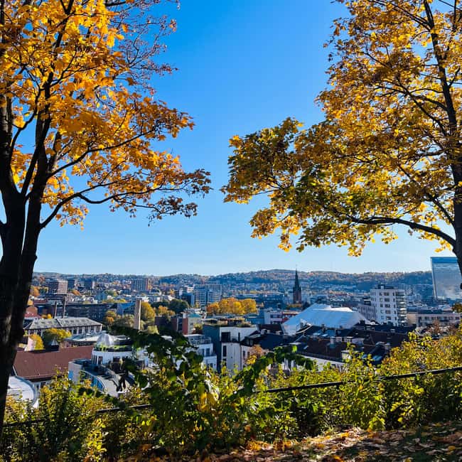 image n.5 of Oslo: Norwegian Food Tour & Hidden Gems City Walk activity in Oslo, uploaded by supplier