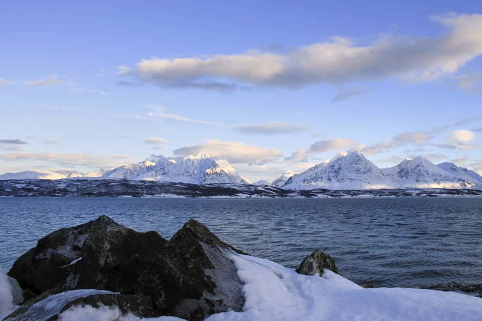 image n.22 of Tromsø’s Top-Rated Fjord & Fishing Cruise – All-Inclusive activity in Barents Sea, uploaded by supplier