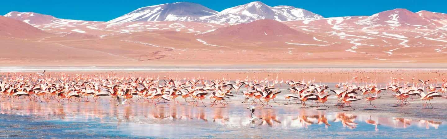 imagem n.18 de De Uyuni: Laguna Colorada e Salar de Uyuni 3 dias + refeições atividade em Uyuni, carregada pelo fornecedor