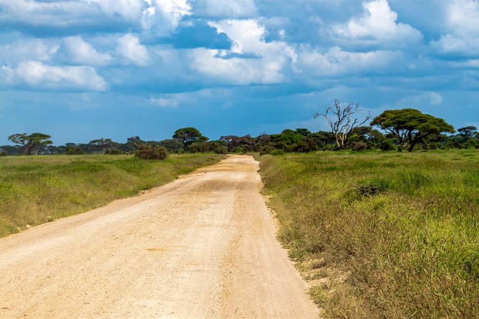 Image N°11 de Depuis Nairobi : Excursion d'une journée au parc national d'Amboseli activité à Province centrale du Kenya, publiée par le prestataire