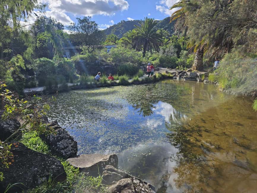 image n.11 of Private Bandama Caldera, Botanic Garden(/Wine*), Old Town activity in Las Palmas, uploaded by supplier