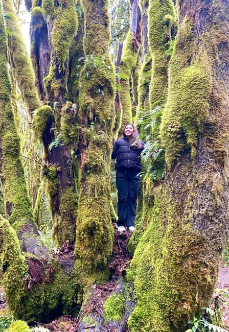 imagem n.7 de Destaques da floresta tropical e do Parque Nacional Olímpico atividade em Port Angeles, carregada pelo fornecedor