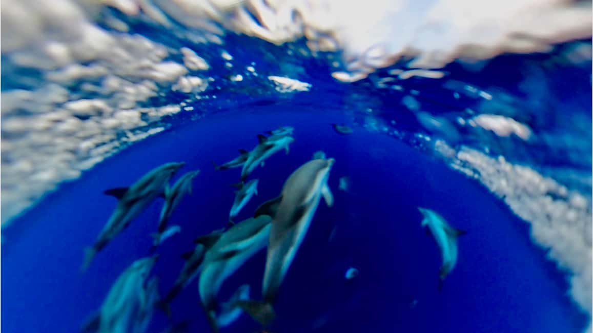 image n.7 of Naxos: Taormina Boat Tour with Snorkeling and Prosecco activity in Taormina, uploaded by supplier