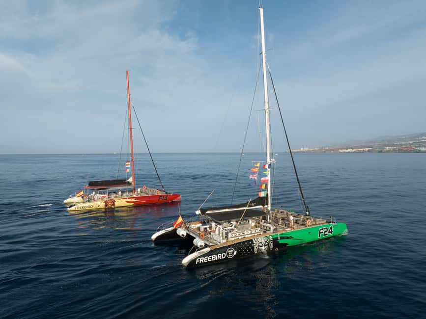 image n.4 of Costa Adeje: Masca and Los Gigantes Whale Watching Cruise activity in Costa Adeje, uploaded by supplier