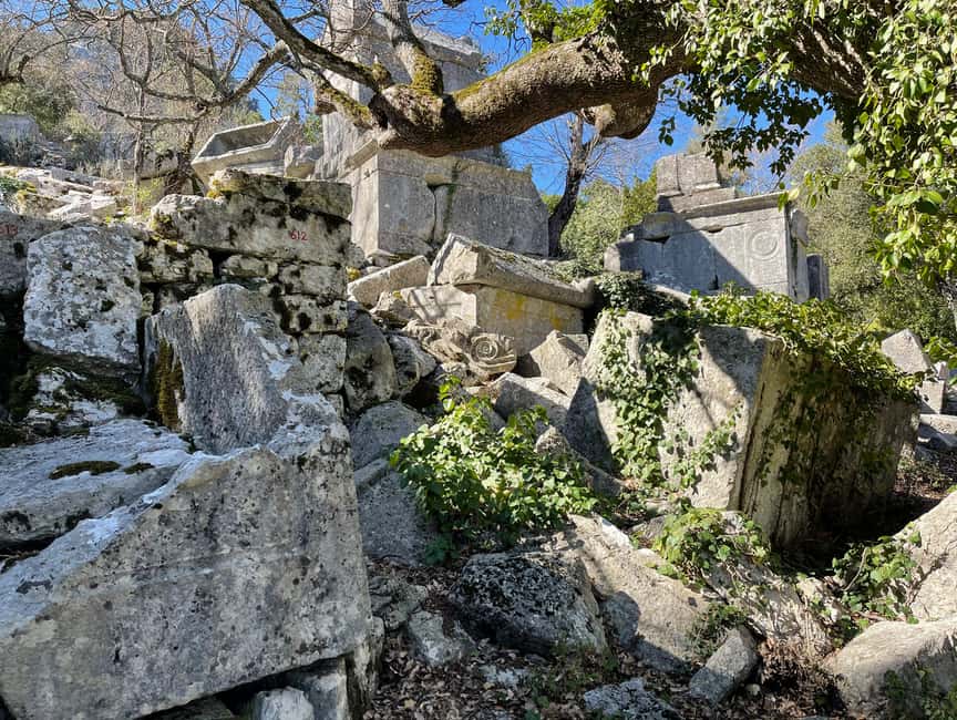 image n.66 of Antalya: Hiking in Termessos Ancient City activity in Antalya, uploaded by supplier