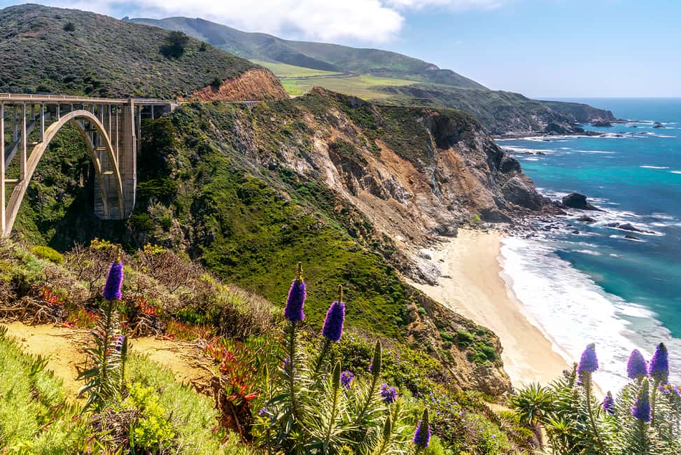 imagem n.13 de De Los Angeles: Excursão de 3 dias a SF, Yosemite, Santa Barbara e Carmel atividade em São Francisco, carregada pelo fornecedor