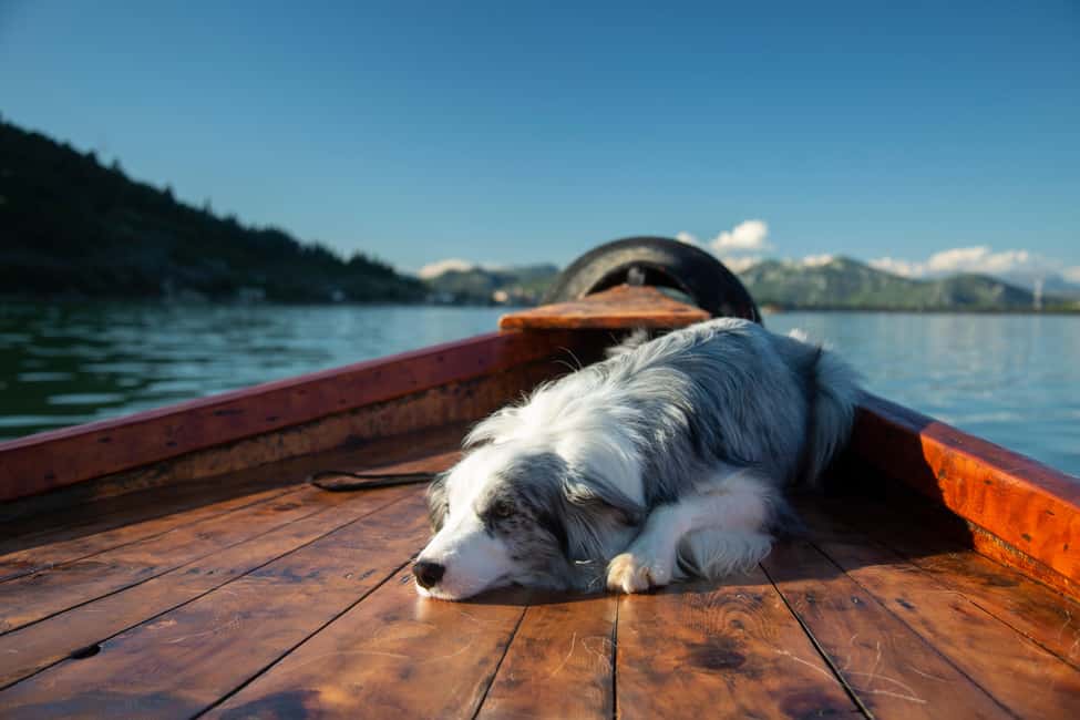 image n.31 of Virpazar: Historical & Nature Boat Adventure on Lake Skadar activity in Podgorica, uploaded by supplier