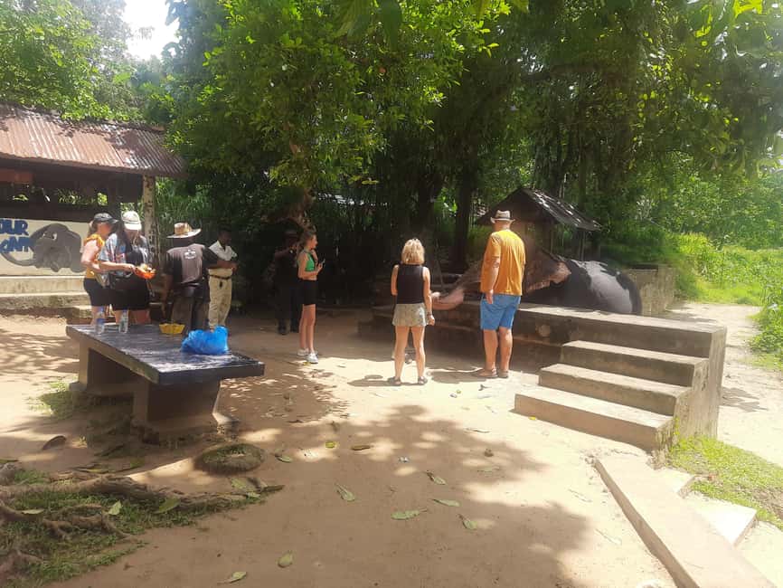 image n.194 of From Negombo : Pinnawala & Tea Factory & Kandy Full Day Trip activity in Kandy, uploaded by supplier