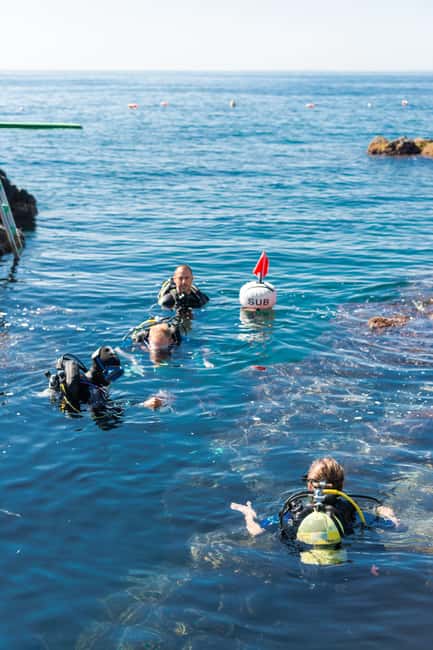 imagen n.º 11 de Catania: Experiencia de submarinismo actividad en Catania, subida por el proveedor