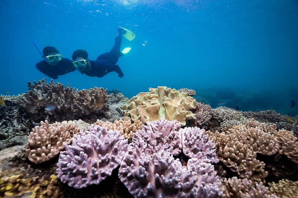 imagem n.11 de Airlie Beach: Whitsundays Full-Day Camira Sailing Adventure atividade em Queensland, carregada pelo fornecedor