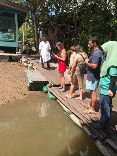 image n.14 of Ko Lanta: Half-Day Mangrove Kayaking Tour with Lunch activity in Tung Yee Peng, uploaded by supplier