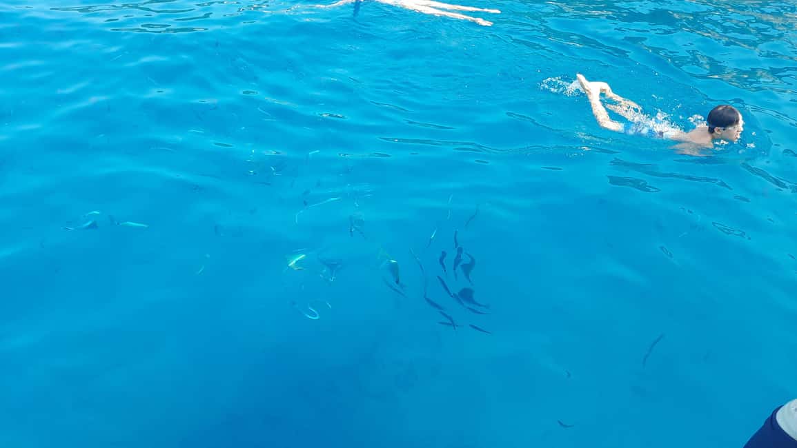 afbeelding n.23 van Privétour op een zeilboot - Zwemmen en pootjebaden - Kaap van Antibes activiteit in Antibes, geüpload door aanbieder