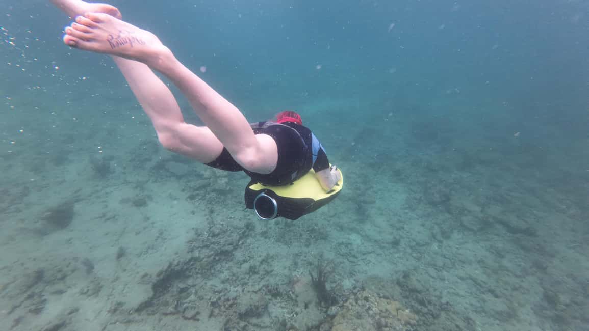 imagen n.º 22 de Fort Lauderdale: Excursión y alquiler de esnórquel SEABOB Ultimate actividad en Fort Lauderdale, subida por el proveedor
