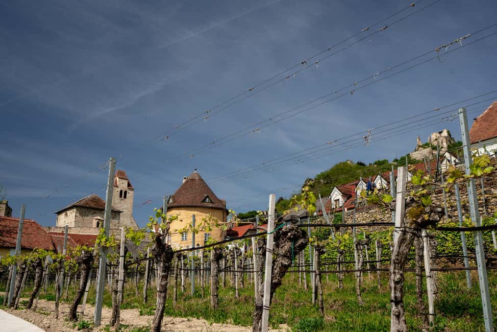 Bild Nr. 5 von Wachau Tal: 3 Schlösser & Wein Private geführte Tagestour Aktivität in Klosterneuburg, hochgeladen vom Anbieter