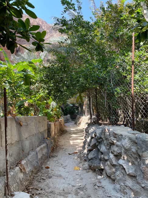 Immagine nº 3 di Muscat: tour privato di un giorno intero di Wadi Shab e Bimmah Sinkhole attività a Governatorato di Ash Sharqiyah Sud, caricata dal fornitore
