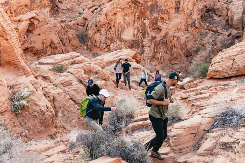 Image N°9 de Las Vegas : randonnée guidée dans la Vallée du Feu avec boissons et collations activité à Nevada, publiée par le prestataire