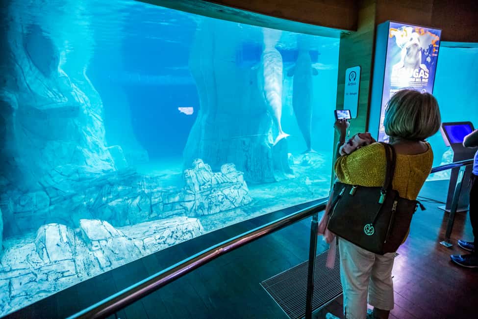 image n.7 of Valencia: Oceanogràfic Entry Ticket activity in Valencia, uploaded by supplier