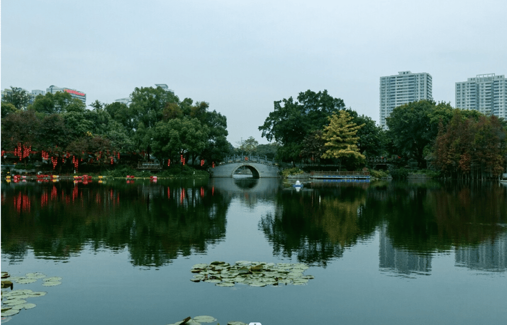 Image N°3 de Visite de la ville de Guangzhou avec déjeuner de dimsum activité à Guangzhou, publiée par le prestataire