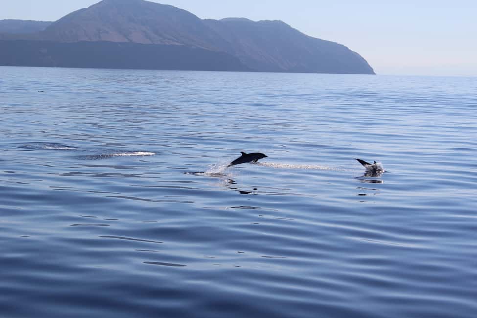 image n.8 of Capo D'Orlando: Salina, Panarea, Stromboli Tour with Boat activity in Lipari, uploaded by supplier