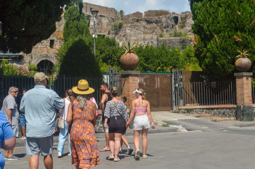 billede nr.6 af aktiviteten Fra Napoli: Dagstur til Herculaneum, Vesuv og Pompeji i Napoli, uploadet af udbyder