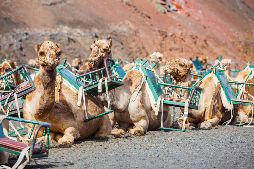 image n.3 of Lanzarote: Guided Day Trip to Timanfaya Park & Lago Verde activity in Yaiza, Lanzarote, uploaded by supplier