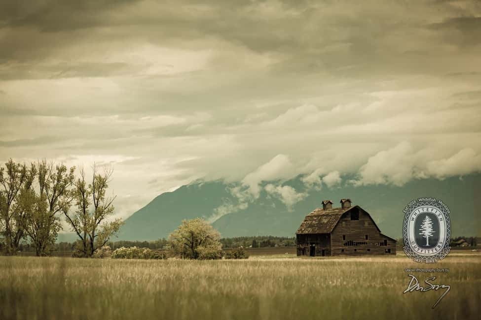 image n.5 of Scenic Driving Tour Flathead Lake and Bison Range activity in Montana, uploaded by supplier