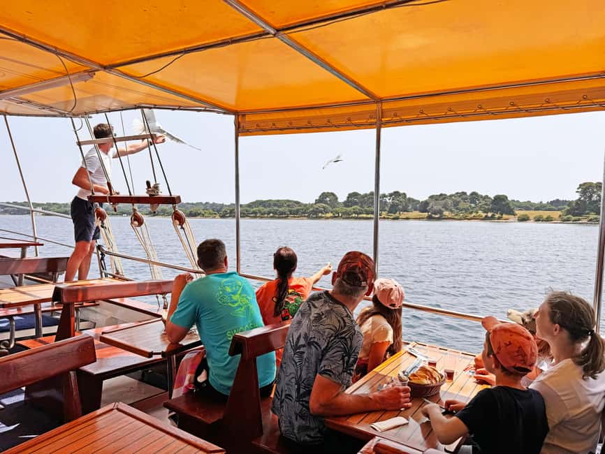Bild Nr. 4 von Fazana: Delfinjagd auf den Brijuni-Inseln Safari mit Abendessen Aktivität in Pula, Kroatien, hochgeladen vom Anbieter