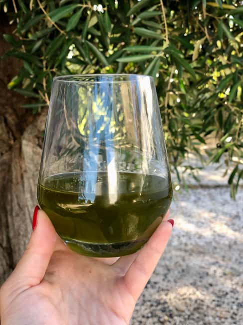 image n.7 of Ostuni: Farm tour among thousand-year-old olive trees with oil tasting activity in Ostuni, uploaded by supplier