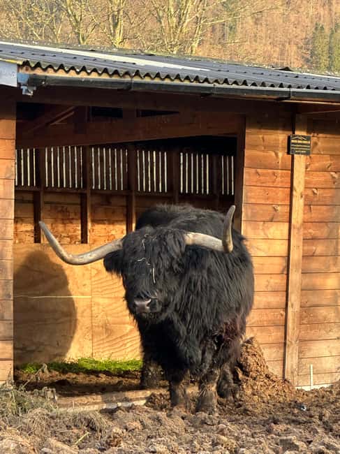 billede nr.22 af aktiviteten Edinburgh: Privat tur til Loch Ness, Glencoe og højlandet i Det skotske højland, uploadet af udbyder