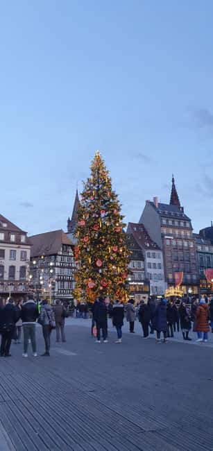 image n.14 of Degustation and Walking Tour in Strasbourg activity in Strasbourg, uploaded by supplier