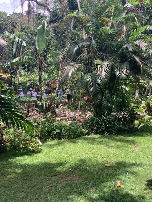imagem n.1 de Falmouth: Excursão de um dia às Cataratas de Konoko e ao White River Tubing atividade em Ocho Rios, carregada pelo fornecedor