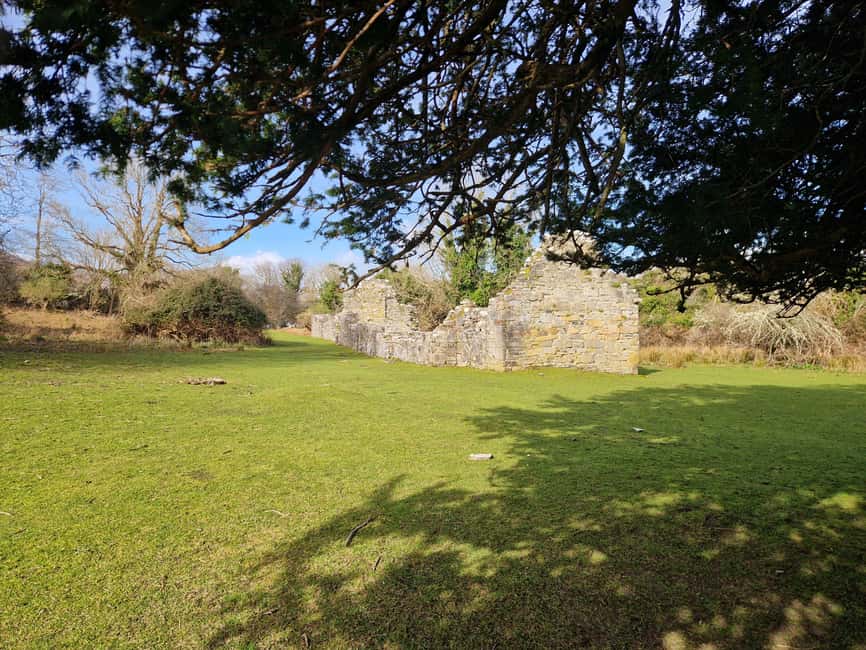 Obraz nr 12 z atrakcji Killarney: Rejs wycieczkowy na wyspę Innisfallen, jeziora Killarney w Munster, przesłany przez organizatora