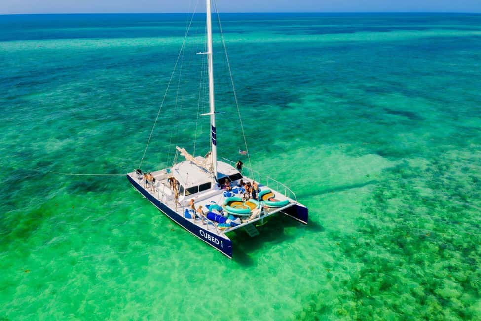 imagen n.º 2 de Cayo Hueso: Tarde de navegación en catamarán y observación de delfines actividad en Cayo Hueso, subida por el proveedor