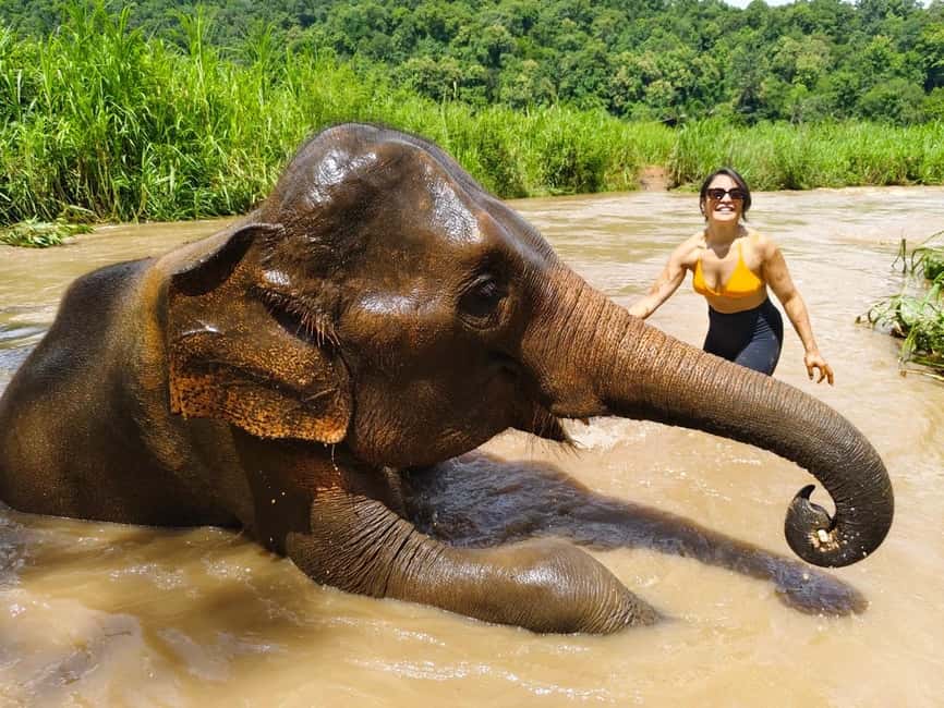 image n.43 of Chiang Mai: Elephant Sanctuary & Waterfall Group Tour activity in Chiang Mai, uploaded by supplier