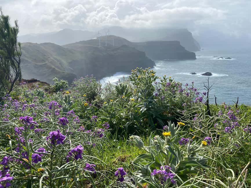 image n.9 of Madeira: PR8 -Ponta de São Lourenço Natural Reserve Transfer activity in Machico, uploaded by supplier