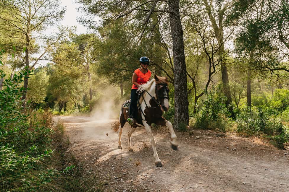 image n.16 of Mallorca: Horseback Riding Experience with Food Options activity in Balearic Islands, uploaded by supplier